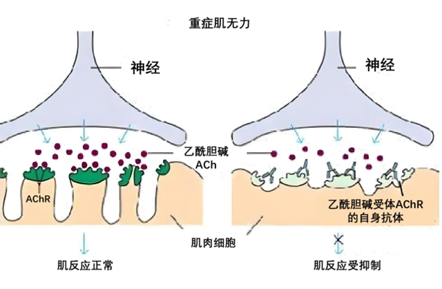 微信圖片_20240507085445.png