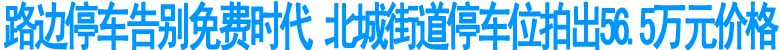 瀘州北城街道臨時占道停車位以56.5萬元價格成交