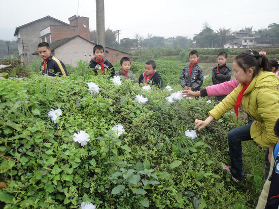 白節(jié)鎮(zhèn)中心校：緬懷革命先烈 追思添動力