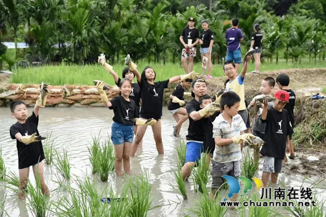 水美上馬?好享納溪||首屆“中國·麒麟水鎮(zhèn)”鄉(xiāng)村文化旅游季正式啟動！(圖9)